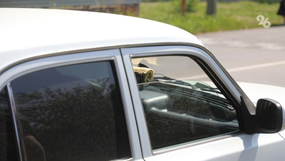 Эксперт предостерёг автовладельцев от хранения неиспользуемой машины в гараже