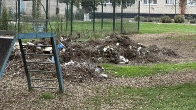 Директора ставропольской школы оштрафовали за мусор на территории