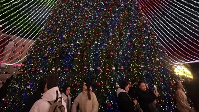 Ставропольский психолог объяснил, как победить стереотипы о веселье на Новый год