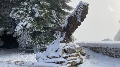 Ставрополье оказалось на 55 месте общероссийского экорейтинга