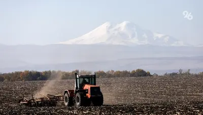 Аграрии Ставрополья получили 6,3 млрд рублей господдержки в 2025 году