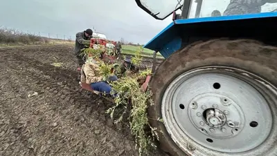 Ставрополье вошло в число лучших регионов России по сохранению лесов