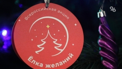 Зампред правительства Ставрополья поучаствовал в «Ёлке желаний»