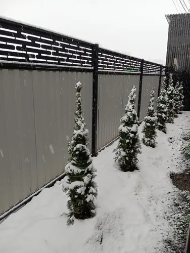 А из нашего окна, в Гармонию пришла зима