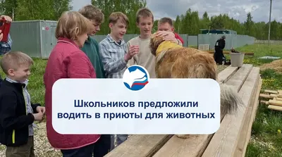 Школьников предложили водить в приюты для животных