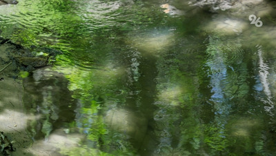 Главы предприятий заплатят штрафы за сброс стоков в реку Кума на Ставрополье