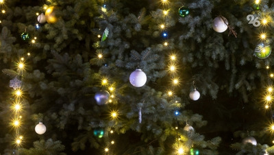 Юная жительница Кировского округа побывала на главной ёлке страны