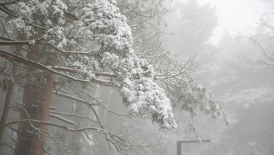 Непогода оставила без света и газа часть жителей Новоалександровского округа