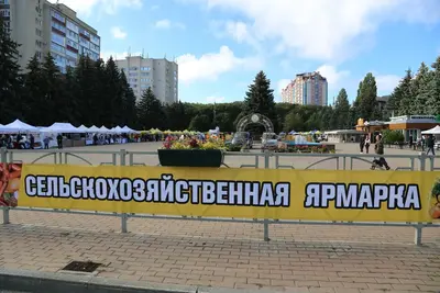 Количество ярмарок в Ставрополе за год выросло в два раза.