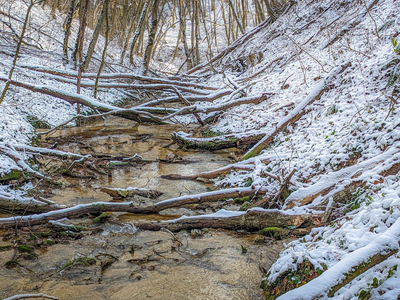 Река Ташла. Таманский лес. Ставрополь