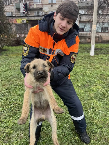 За новогодние праздники спасатели Ставрополья выехали на происшествия 92 раза