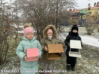 Детский сад №34 В старшей группе № 15 прошло тематическое занятие День зимующих птиц