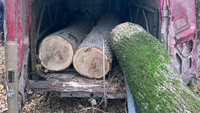 Браконьеров из соседнего региона задержали с помощью фотоловушки на Ставрополье