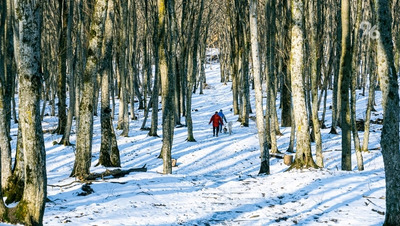 До +3 грудусов потеплеет на Ставрополье в середине недели