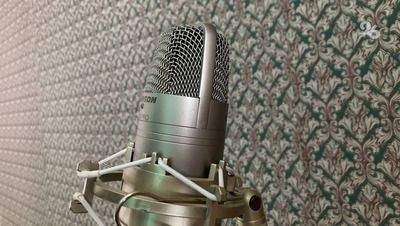 Студентка астраханского колледжа одержала победу в музыкальном конкурсе, прошедшем в Волгограде.