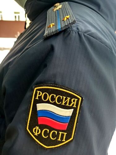 Под контролем судебных приставов выделены доли детям