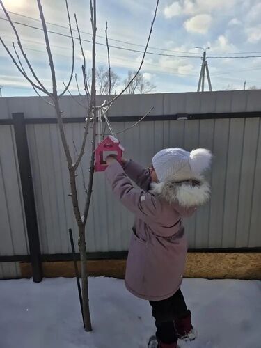 МБОУ СОШ №20 В рамках проведения краевой экологической акции Покормите птиц!