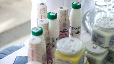 Стартап ставропольского студента поможет определять просрочку без лаборатории