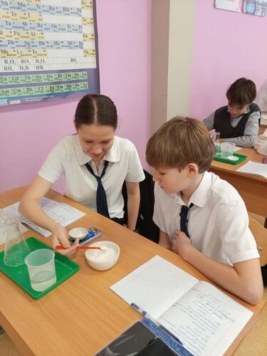 МБОУ СОШ №25 В 8-х классах прошел урок на одну из самых ответственных и увлекательных тем курса химии