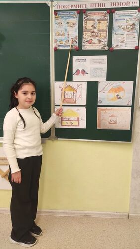 МБОУ СОШ №20 Всемирный день кормления птиц! Урок окружающего мира в 3 В классе