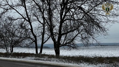 3 га земли Предгорья вернут муниципалитету по требованию прокурора