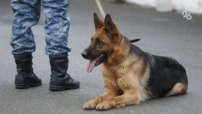 В Лермонтове и Ессентуках проверяют школы после сообщений о минировании