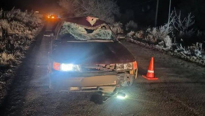 Пешеход погиб под колёсами легковушки в Предгорном округе