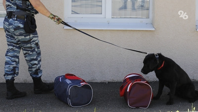 В Ессентуках эвакуировали лицей №6 из-за сообщения о теракте