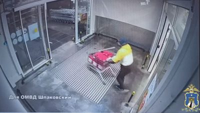 Семь уголовных дел завели на ставропольца, укравшего инструменты из магазина