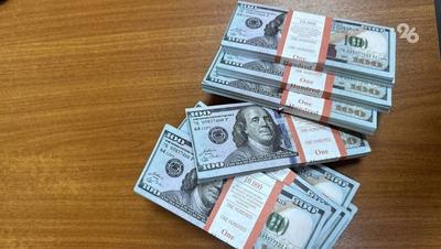 Тысячи наличных долларов, евро и рублей хотели вывезти контрабандой из Минвод
