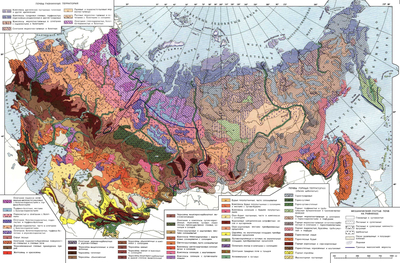 География 8 класс Основные зональные типы почв, их свойства, различия в плодородии.