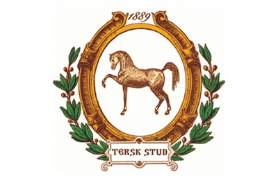 11 февраля на Ставрополье: возродили Терский конный завод