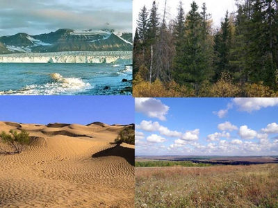 Особенности растительного и животного мира природно-хозяйственных зон России