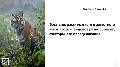 Богатство растительного и животного мира России: видовое разнообразие, факторы, его определяющие.