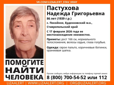 Пенсионерку в оранжевой шапке ищут волонтёры на Ставрополье