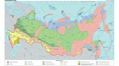 География 8 класс Природно-хозяйственные зоны России: взаимосвязь и взаимообусловленность их компонентов.