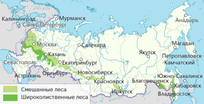География 8 класс Природно-хозяйственные зоны России. Смешанные и широколиственные леса