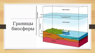 География 6 класс Биосфера — оболочка жизни. Границы биосферы