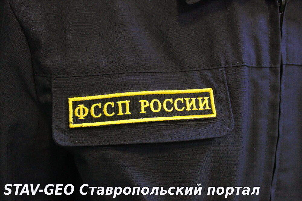 «Профессиональные» коллекторы с помощью портала Госуслуг могут внести сведения в государственный реестр