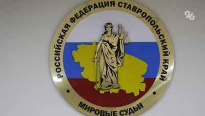 Два фермера на Ставрополье предстанут перед судом за хищение 56 млн у «Россетей»