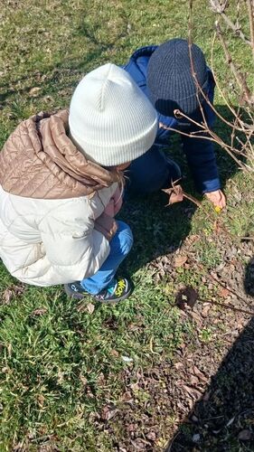 Детский сад №34 Для воспитанников подготовительной группы №7 весенняя прогулка - это настоящее путешествие в мир природных перемен.