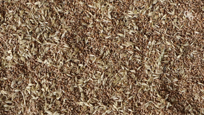 Ставрополье экспортировало более 113 тыс. тонн аграрной продукции с начала года