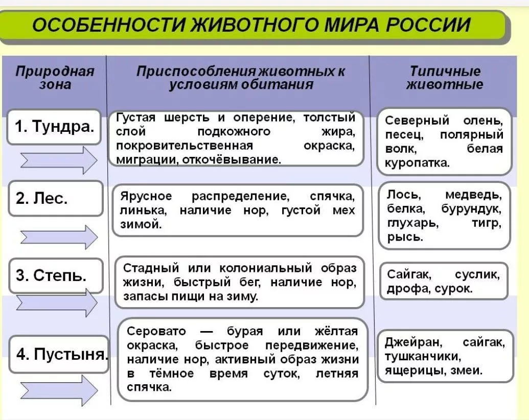 География 6 класс Приспособление живых организмов к среде обитания в разных природных зонах