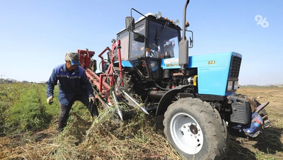 Работников сферы генной инженерии не смогут заменить нейросети — HR-эксперт
