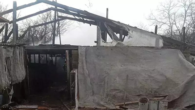 Шесть коров и 15 свиней спасли из горящего хлева в селе Грачёвского округа