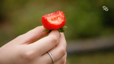 Кандидат сельхознаук посоветовала ставропольцам остерегаться чёрной клубники