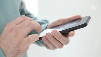 Россиян обманывают фейковыми малинно-клубничными саженцами на маркетплейсах