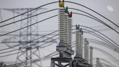 Половина Ессентуков осталась без света из-за кота на подстанции