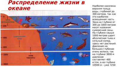 География 6 класс Жизнь в океане. Изменение животного и растительного мира океана с глубиной и географической широтой