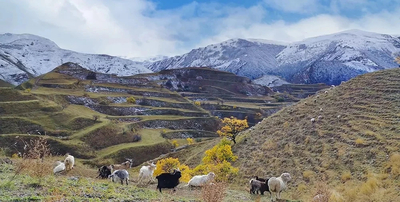 Чохские террасы: горы, которые сделали руками